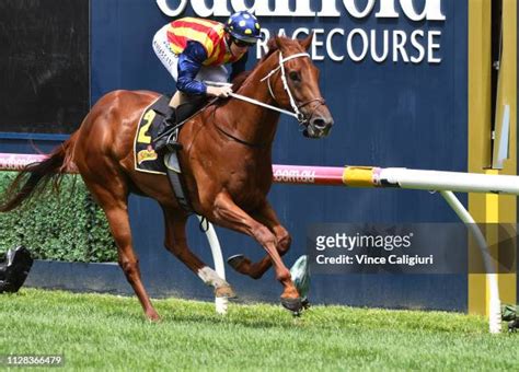rubiton stakes
